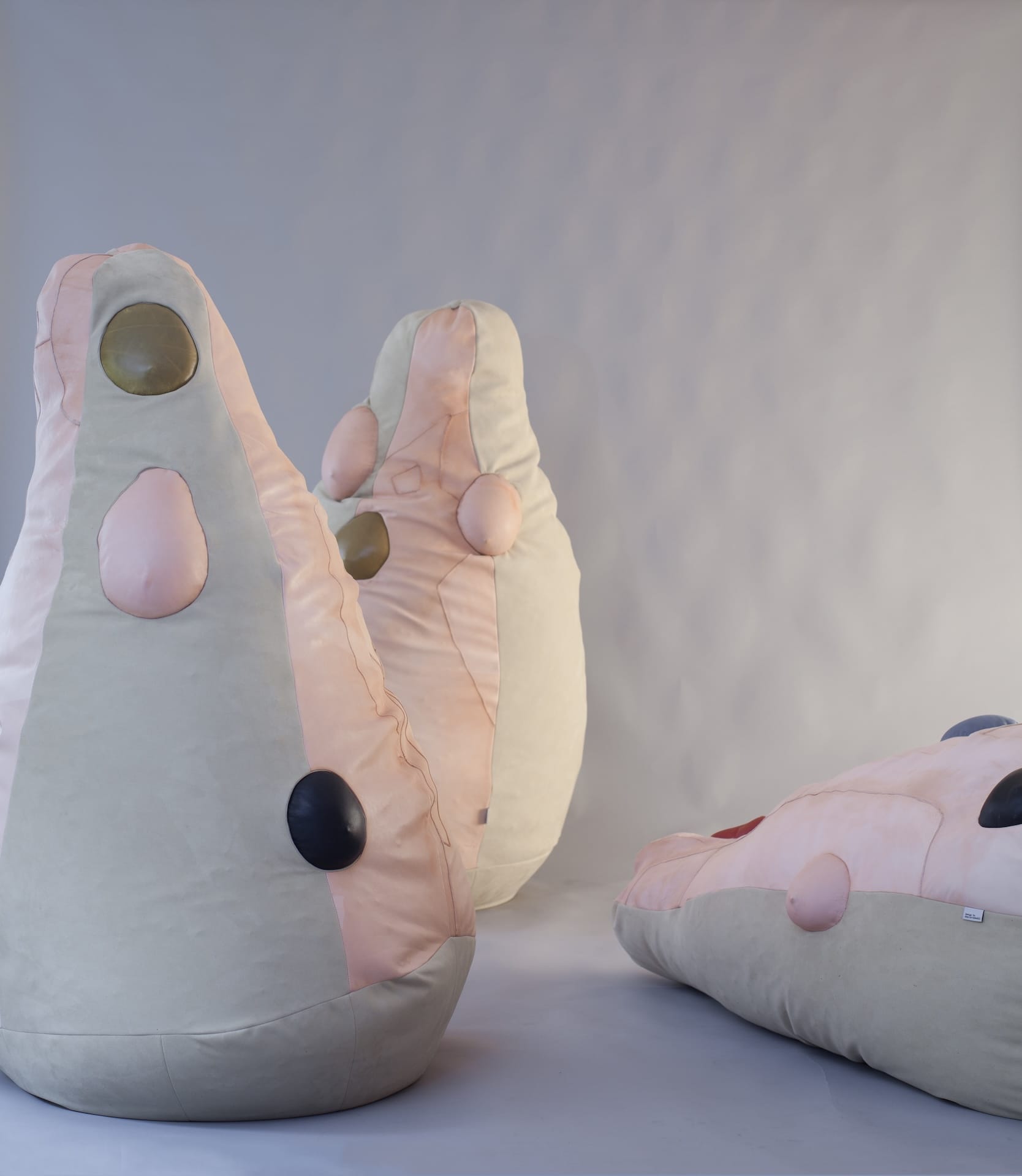 4_Charlotte_ moderen_Lodret